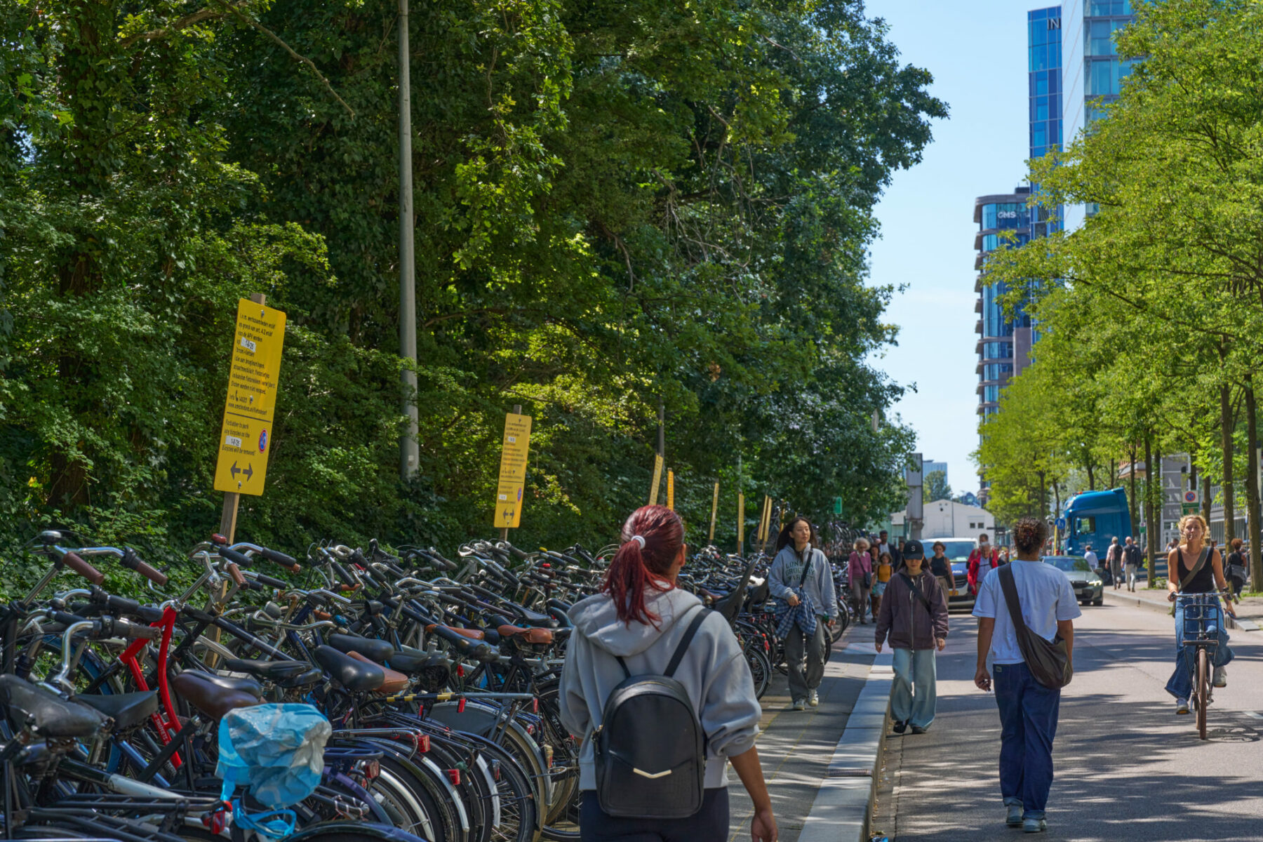 20250717 Matthijs Vermeulenpad