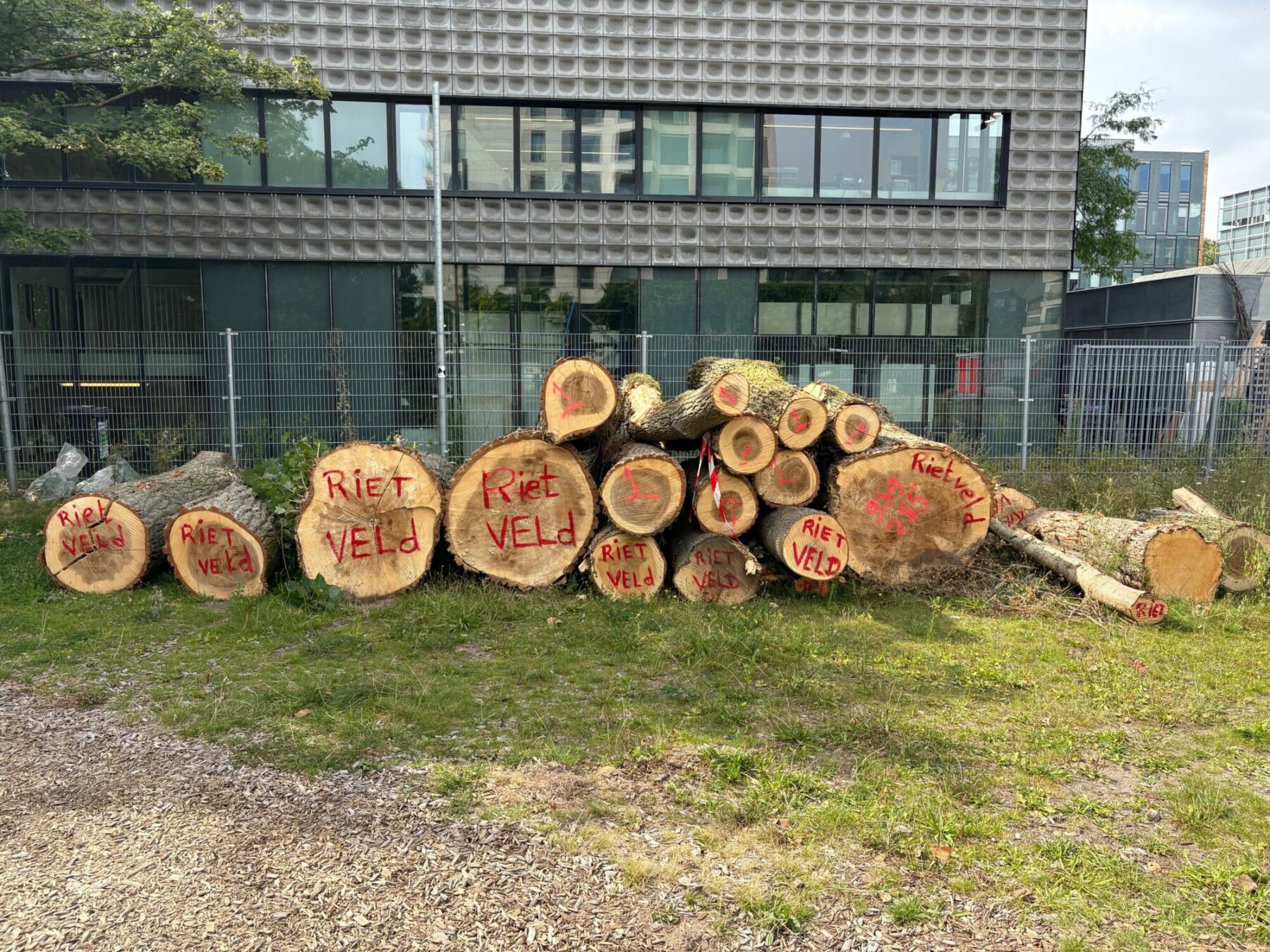 Some of the felled trees will be put to good use by the creatives at the adjacent Gerrit Rietveld Academie