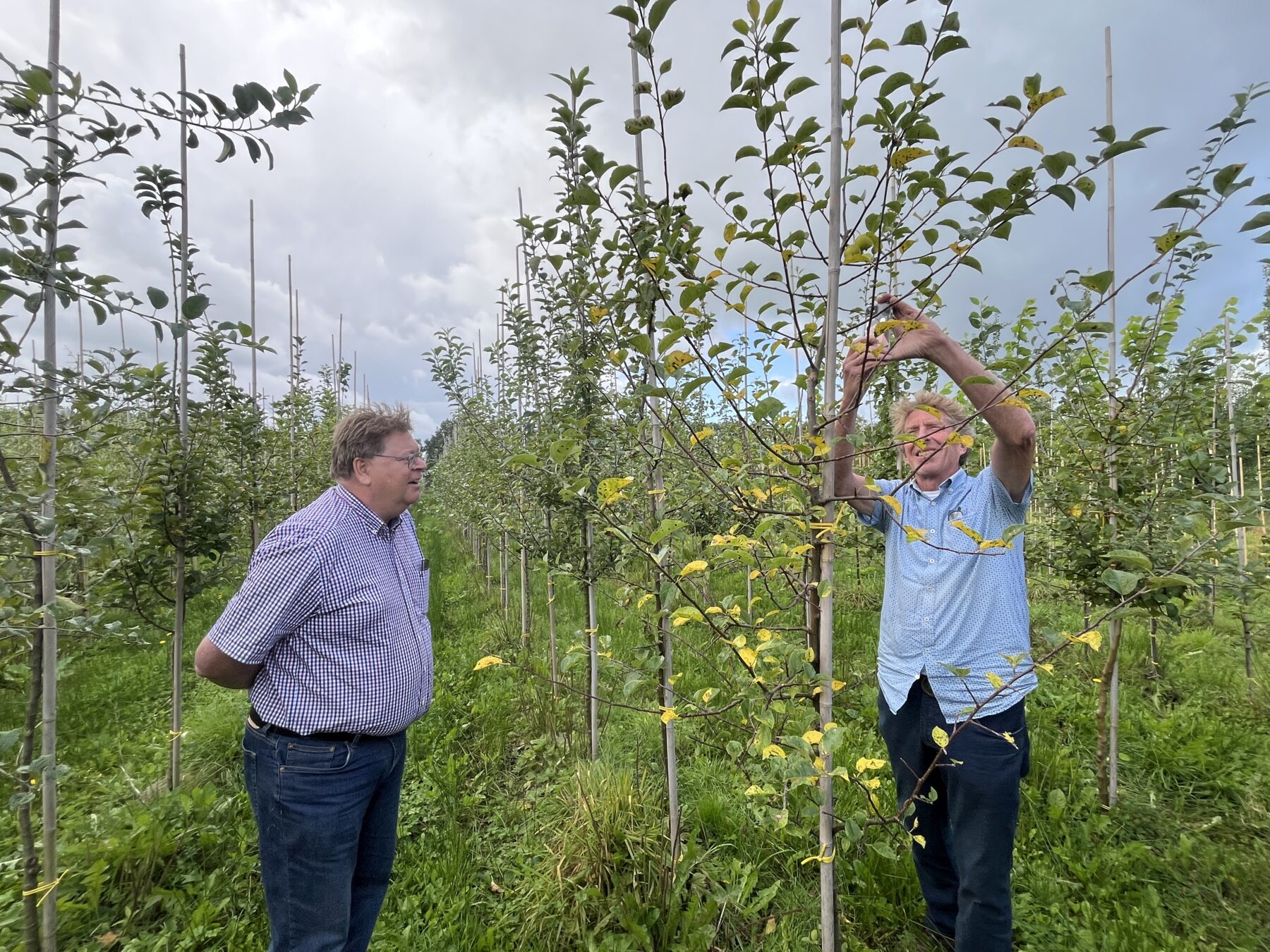 250912 bezoek bomenkwekerij Noorpdlant Groningen (1)