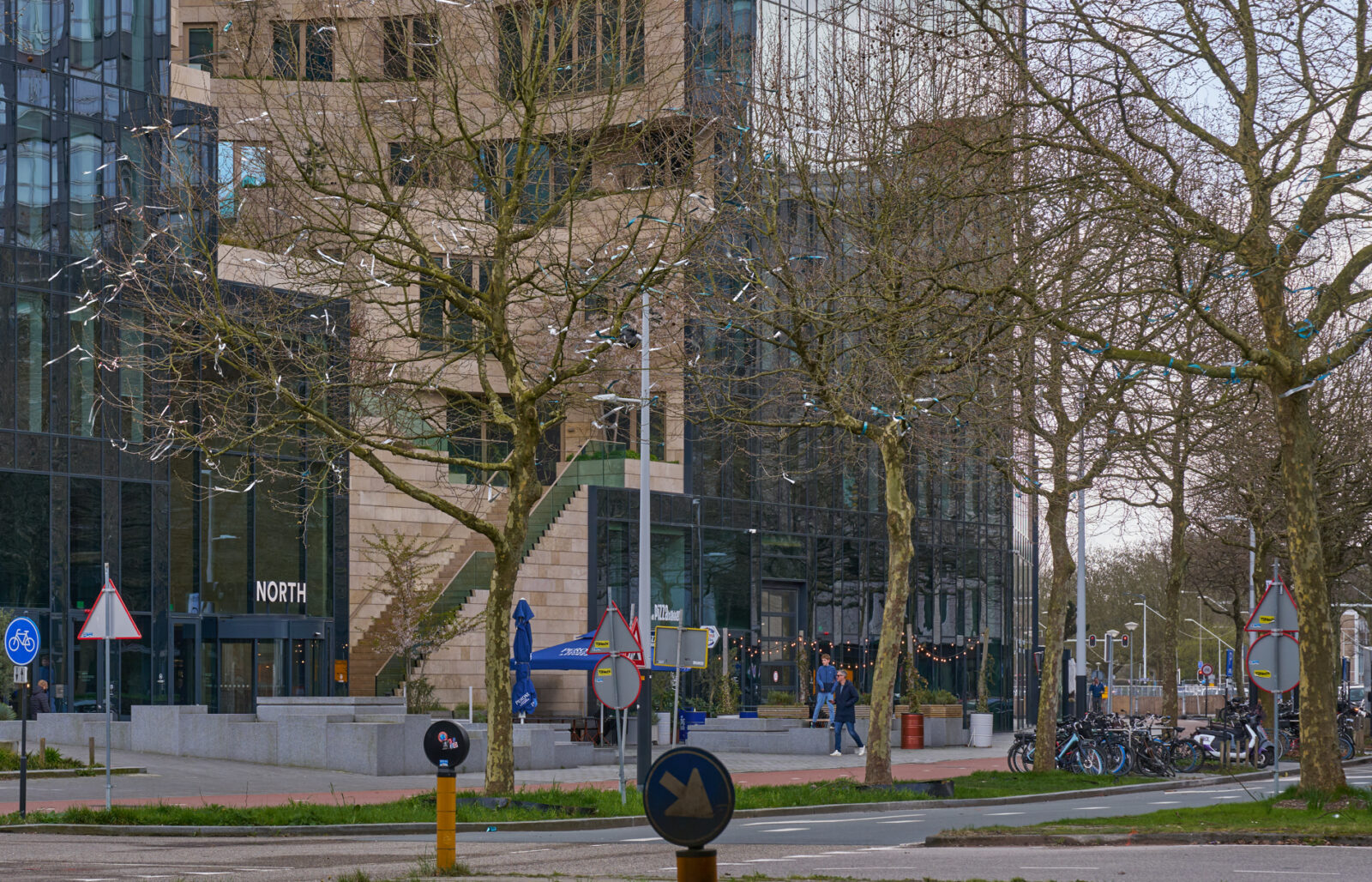 Beethovenstraat - platanen met lintjes tegen nestelen (4)